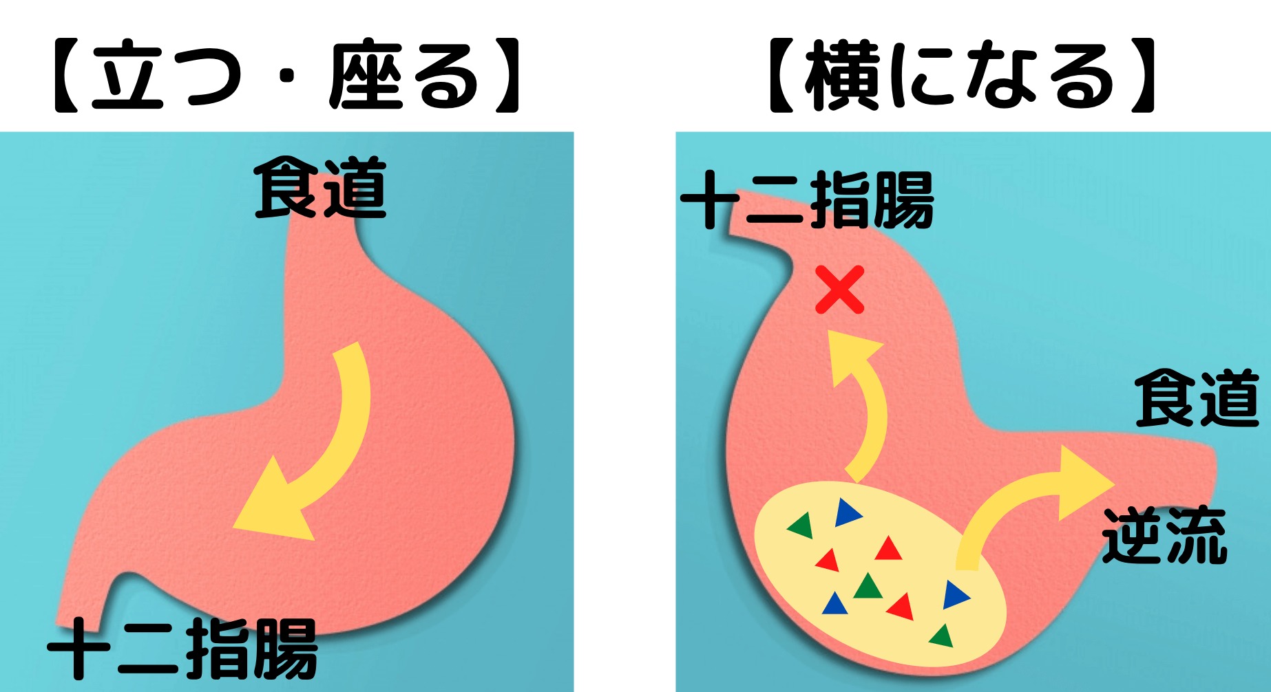 食べてすぐ寝ると太るは嘘 太りにくい食後の過ごし方 テツログ ダイエット完全攻略