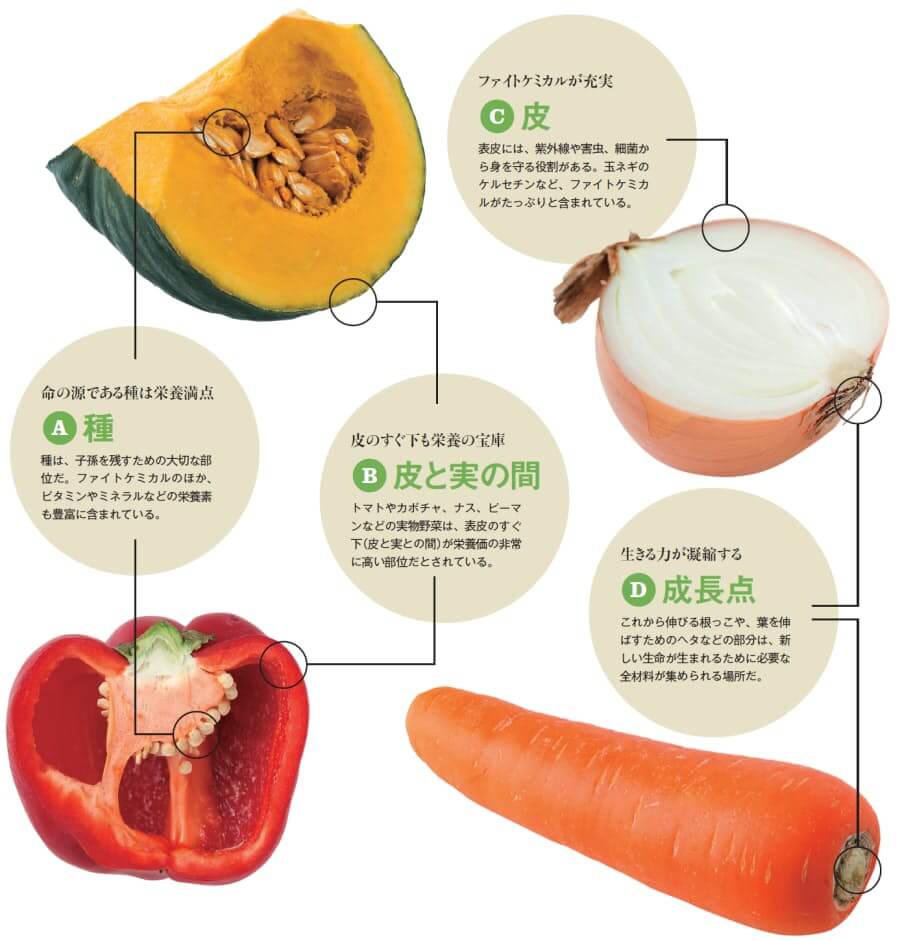 野菜・果物の皮に含まれる栄養素