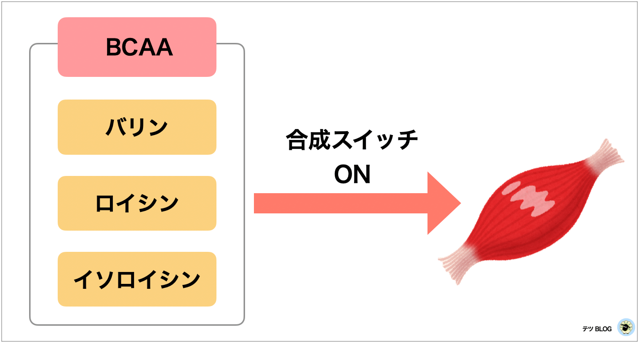 BCAAの説明を表した図
