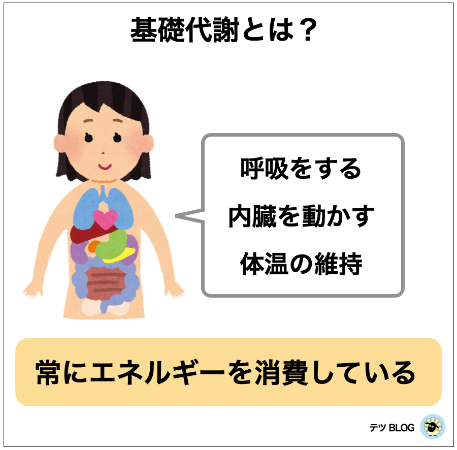 基礎代謝の内容を表した図