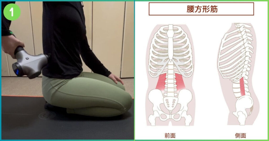ボディピクセルPROの使い方 腰方形筋