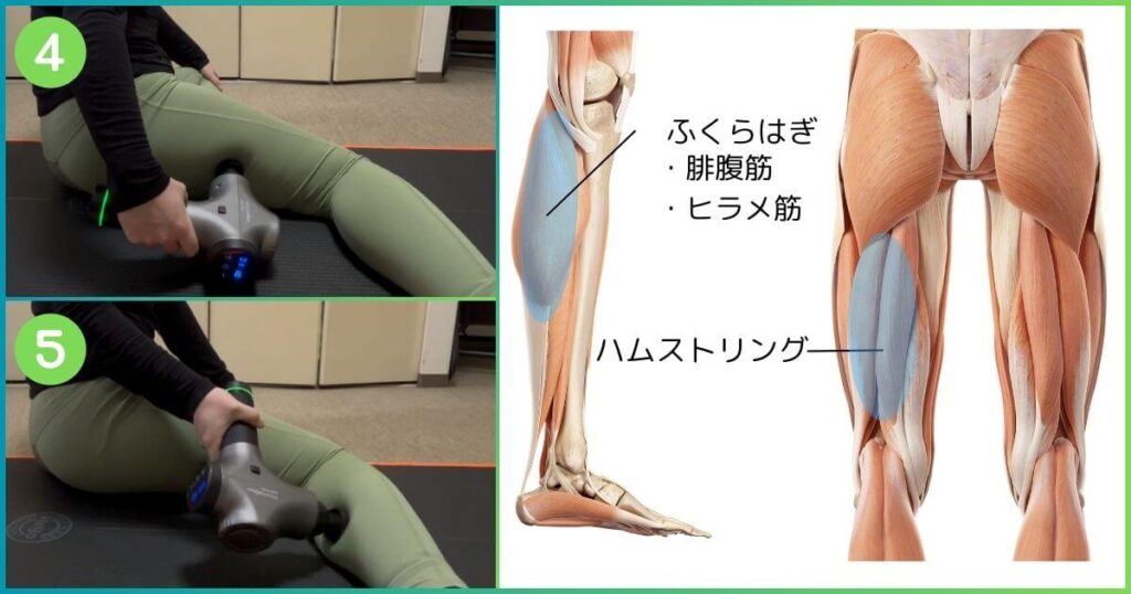 ボディピクセルPROの使い方 ハムストリング ふくらはぎ