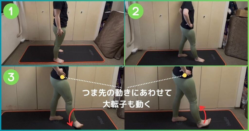 大転子の場所 チェック方法