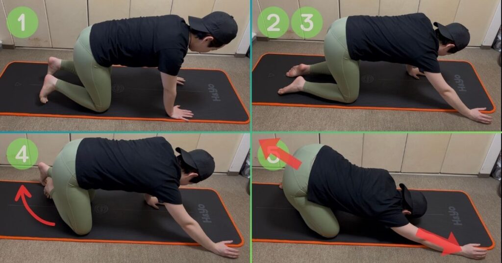 四つんばい 広背筋のストレッチ 手順