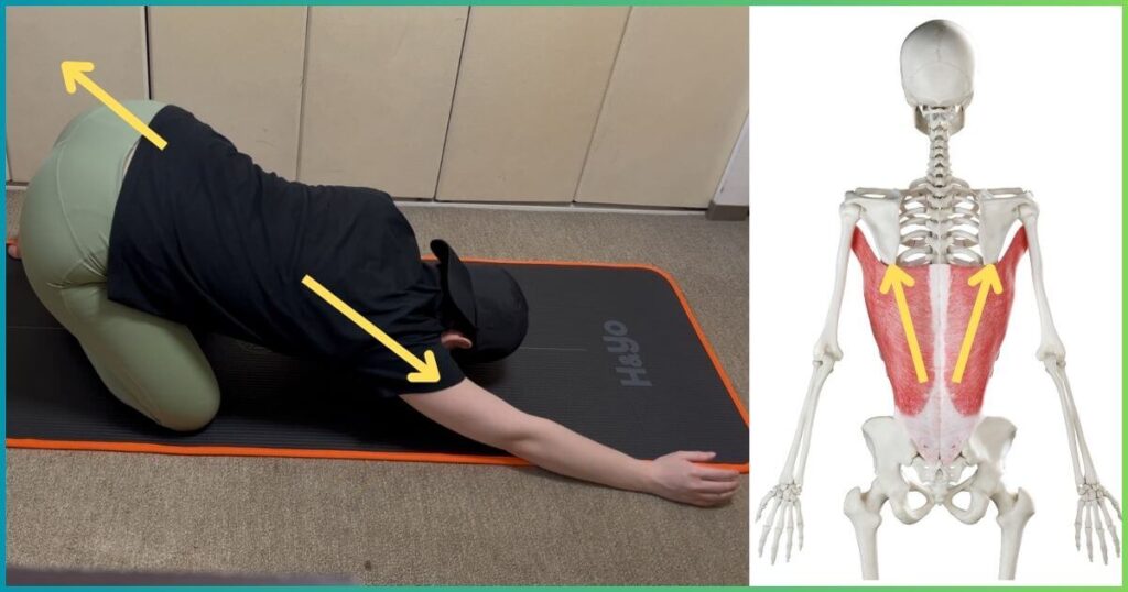 広背筋ストレッチのコツ
