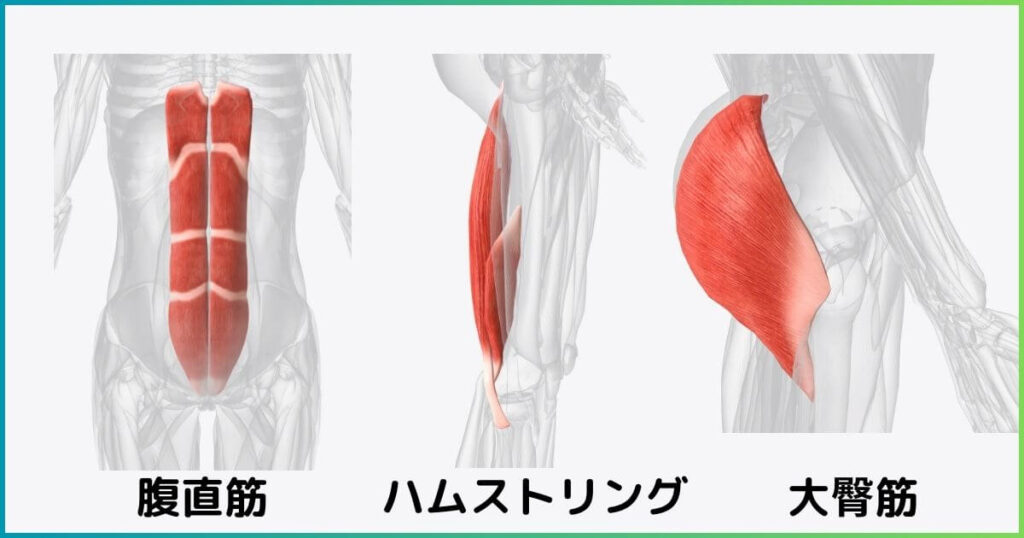 反り腰改善のために筋トレすべき筋肉