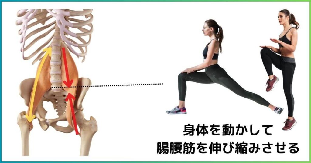 腸腰筋を動かして柔軟性を取り戻す