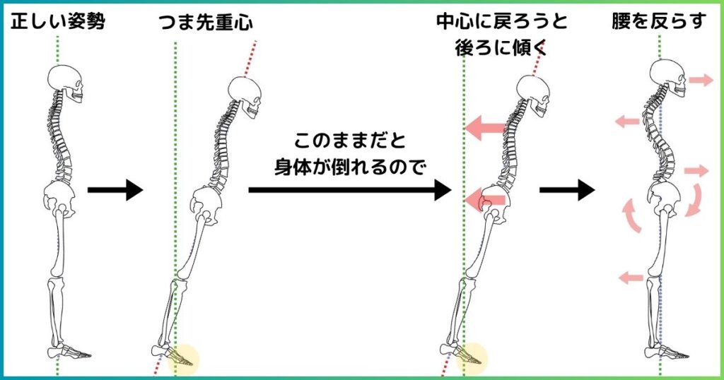 重心が前に移動すると反り腰になる